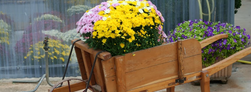 Les Jardins de Nabrigas