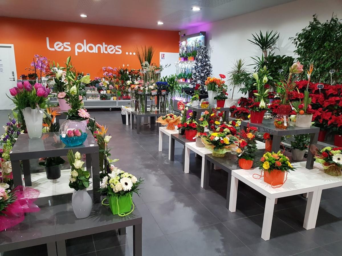 AMBIANCE FLEURS