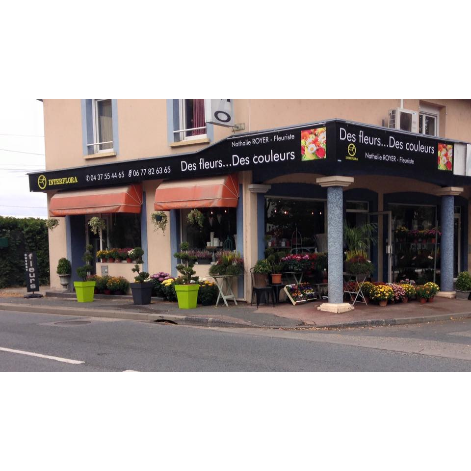 Des fleurs..Des couleurs