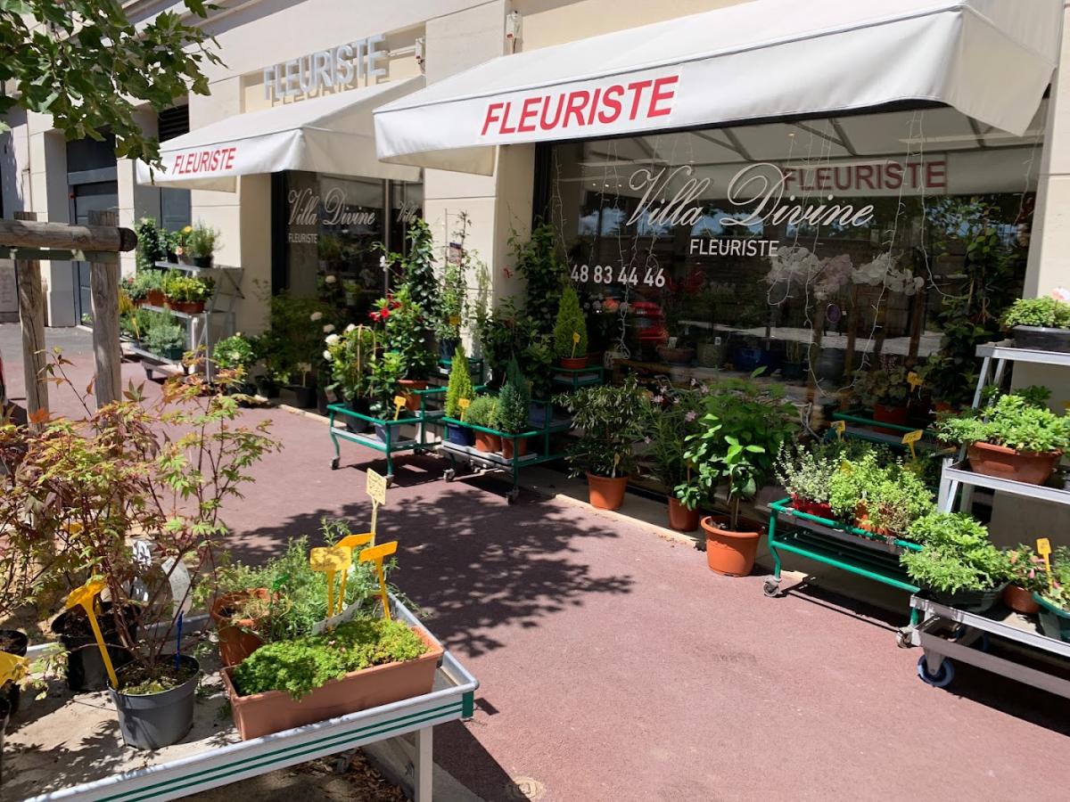 Villa Divine - Fleuriste - Saint Maur des Fossés