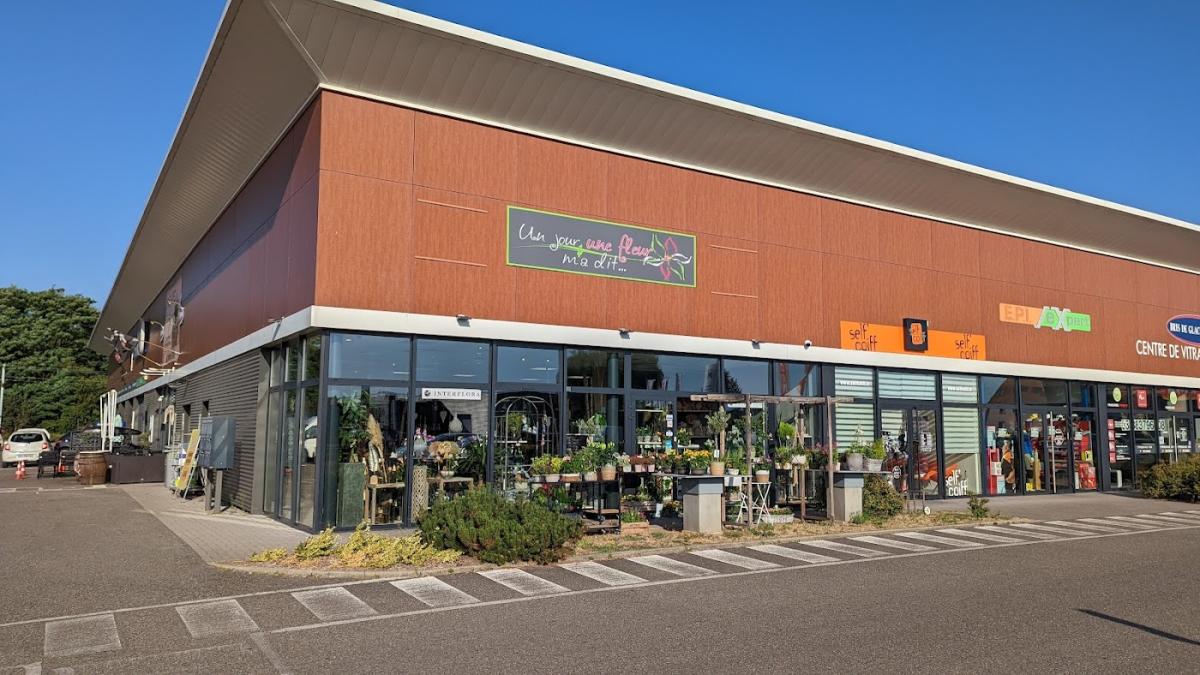 Un jour une fleur m'a dit...