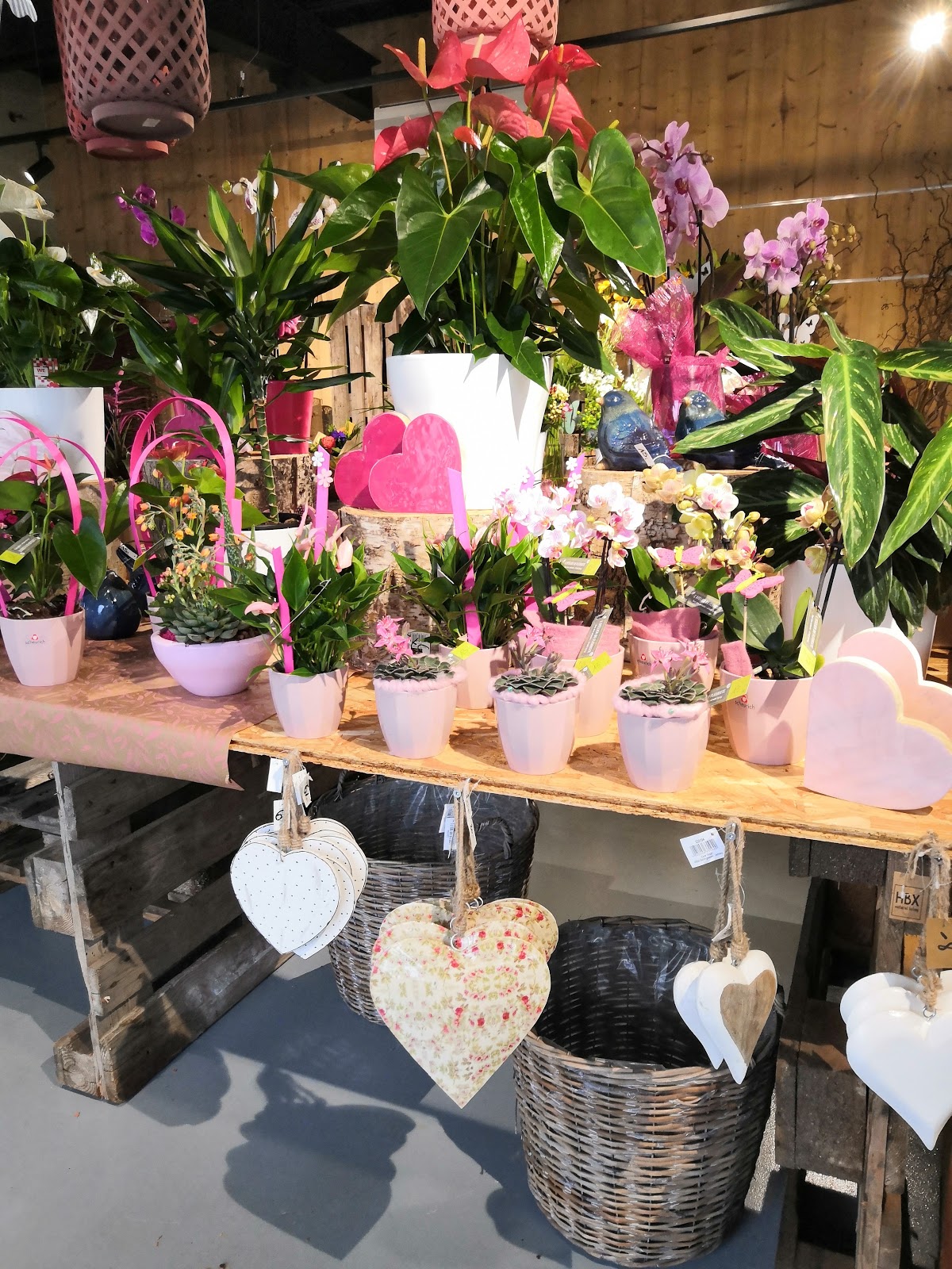 Fleuriste Epfig | L'Atelier Du Fleuriste