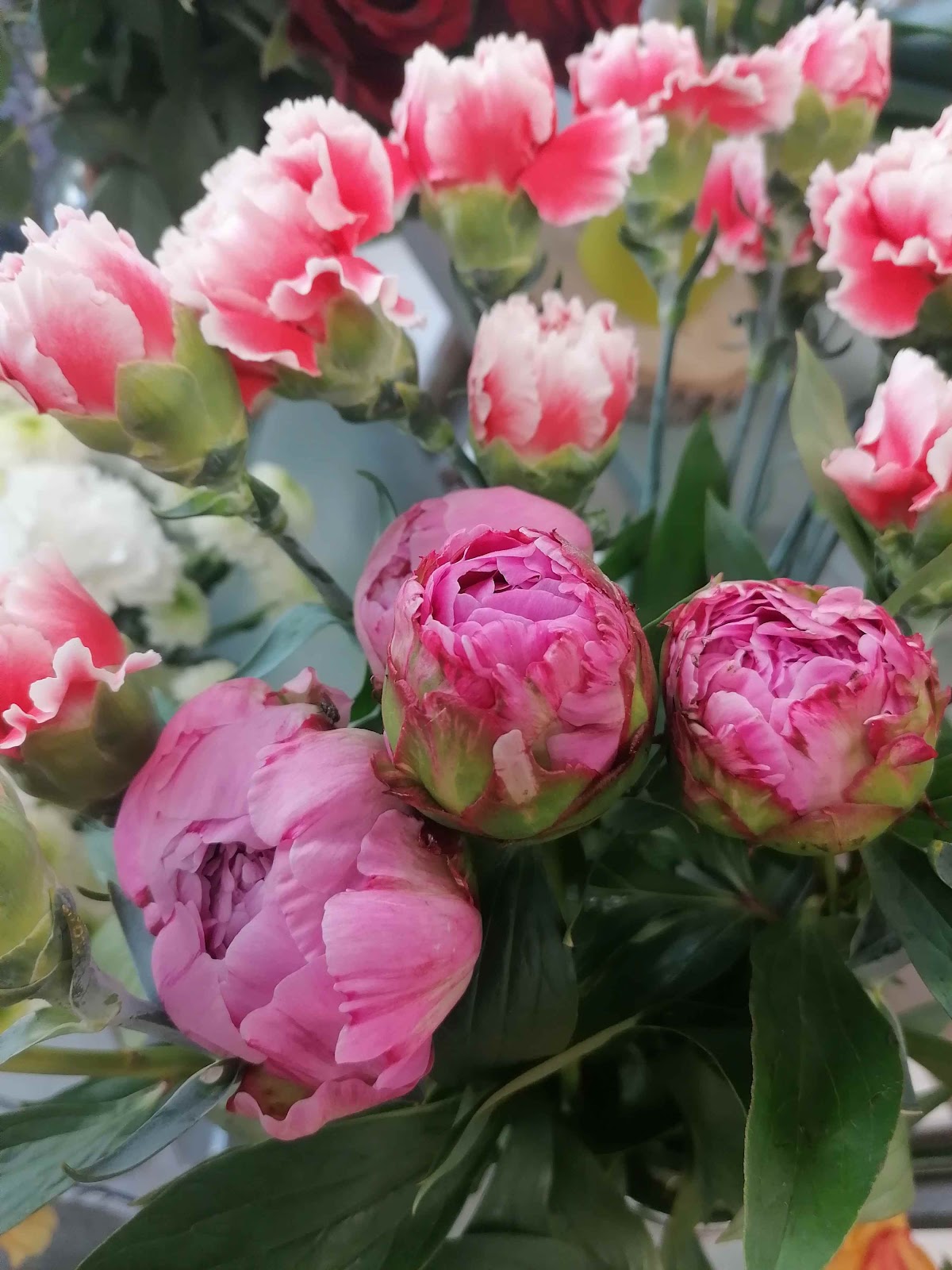 Pivoines et Poneys, Artisan Fleuriste