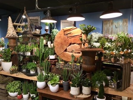 Conter Fleurette, Fleuriste Amiens