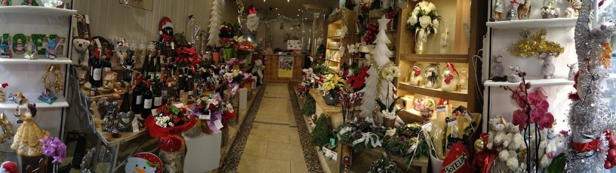 Fleuriste Toulon La belle orchidée