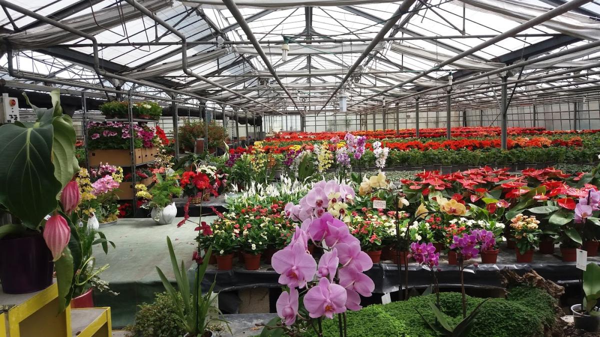 les serres de Chazelles