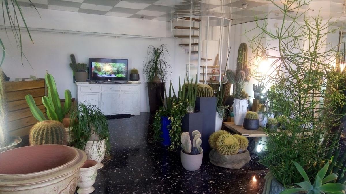 CACTUS GALERIE