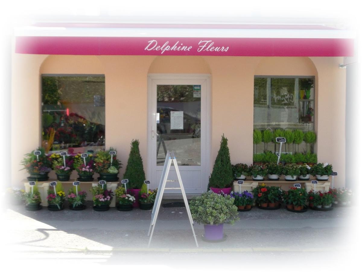 Delphine Fleurs