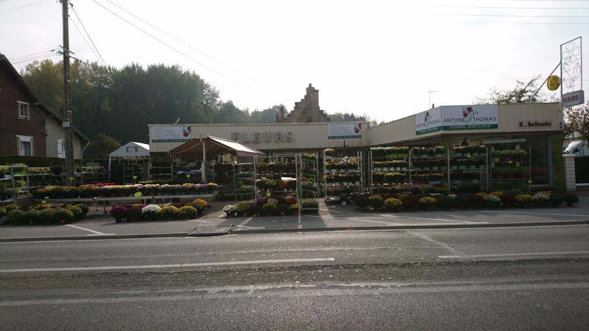 Antoine Thomas artisan fleuriste