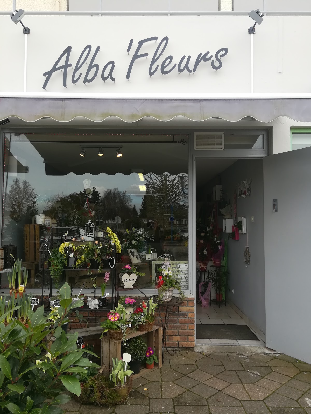 Alba fleurs