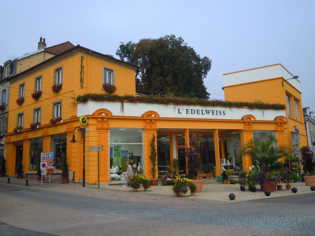 Aarnink GT Edelweiss Antoine