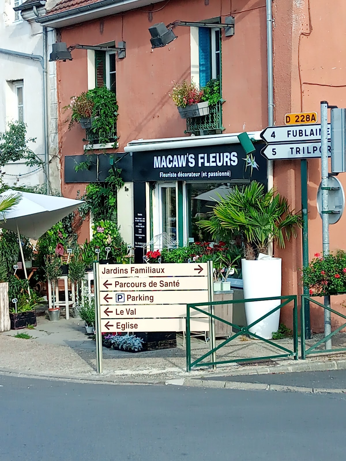 Macaw's Fleurs | Fleuriste | Décorateur (77)