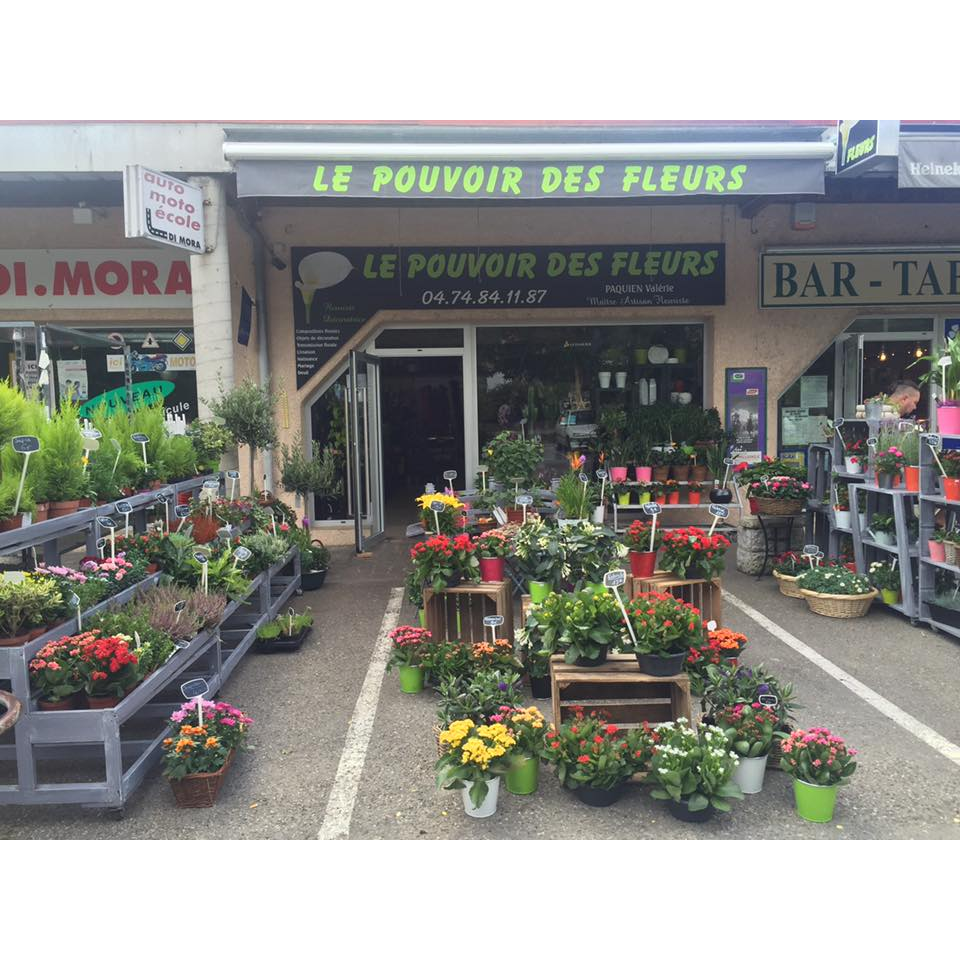 Le Pouvoir Des Fleurs