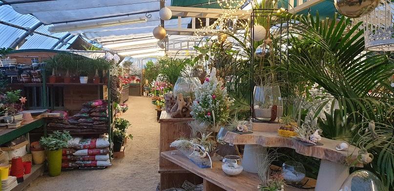 Pépinière La Maison Blanche Veillon Mickael