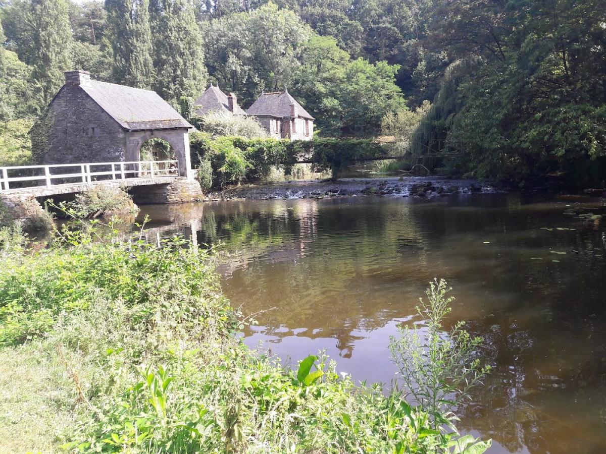 Tariot bruno bus bazard