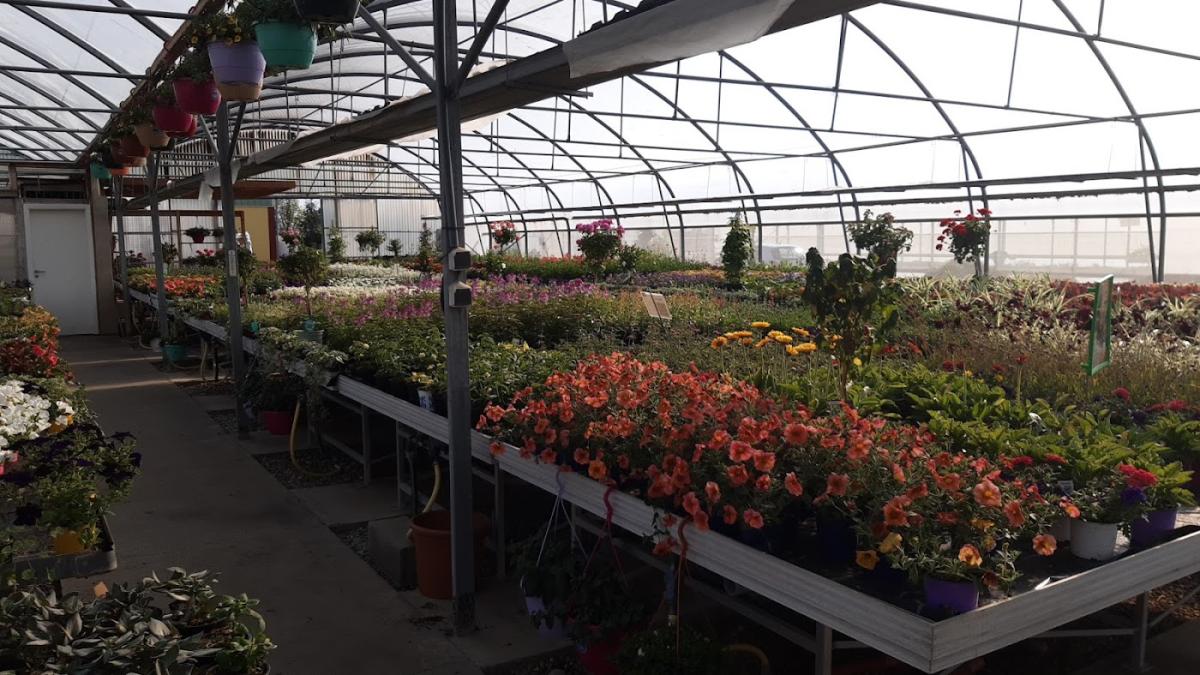 Horticulture Ettwillter