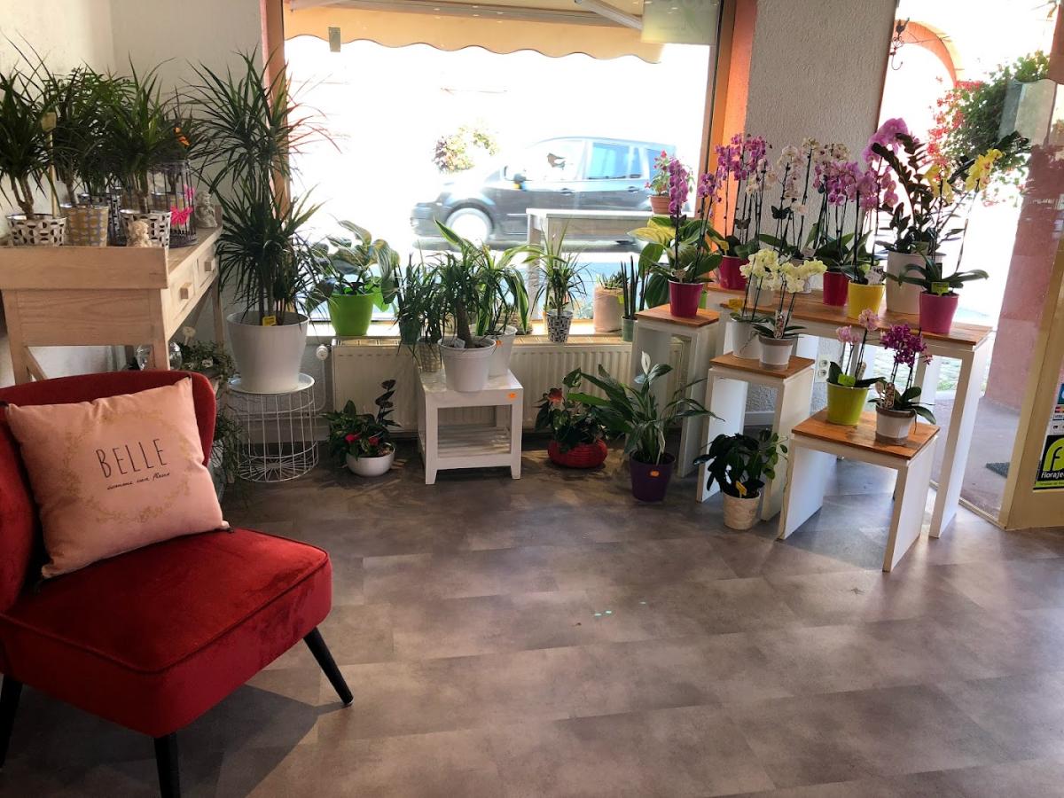 Pauline Artisan Fleuriste