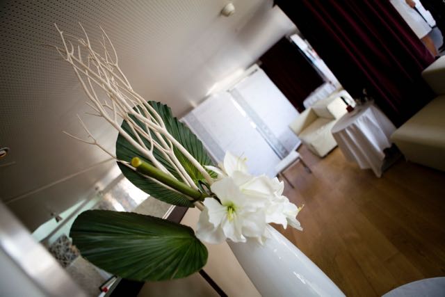 Vente et location de fleurs et plantes artificielles - Deco Sens