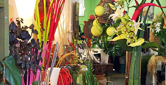 L'Atelier de Pierre - Fleuriste Peintre