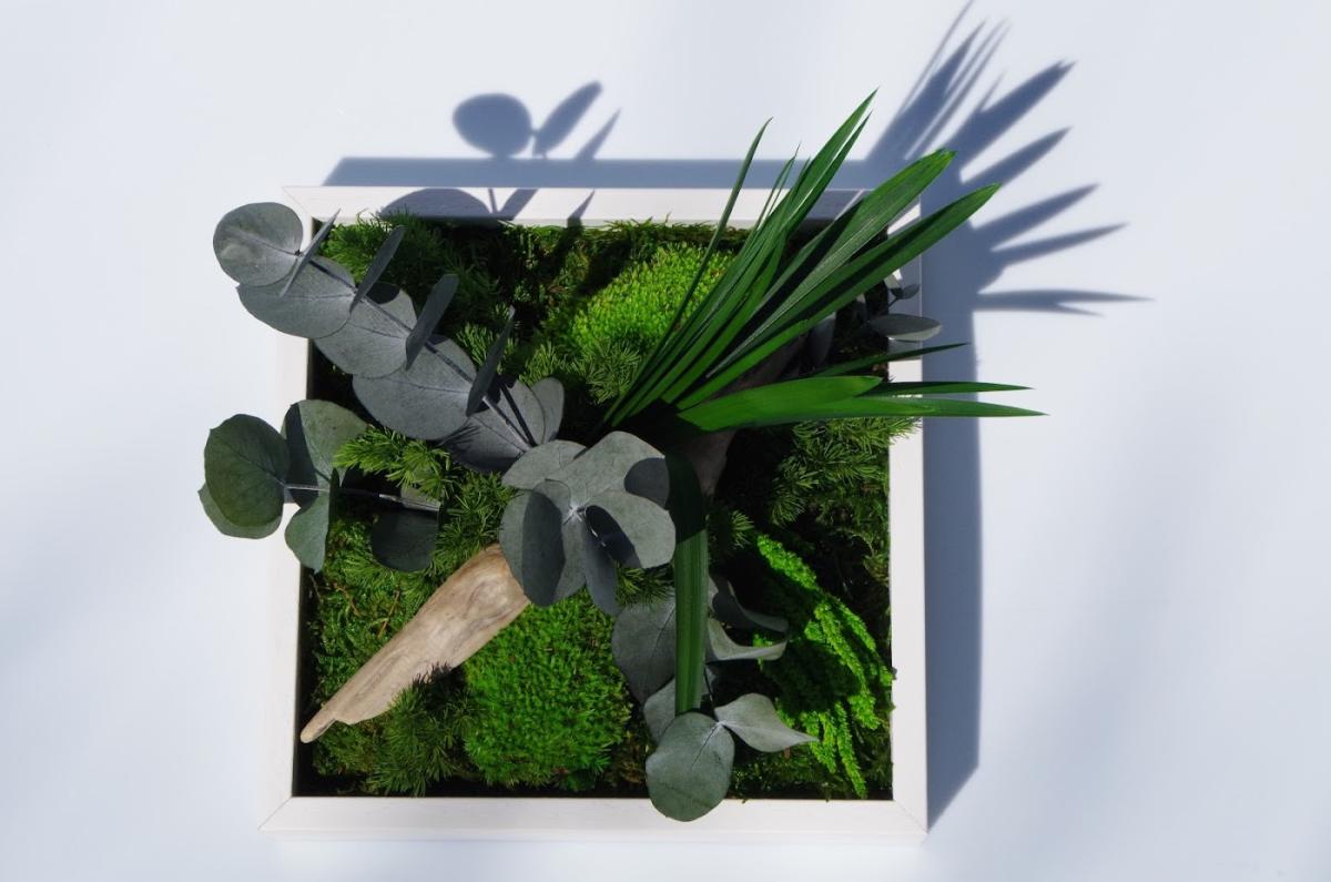 Infiniflower : fleuriste pour professionnels - décoration florale - décoration fleurs éternelles