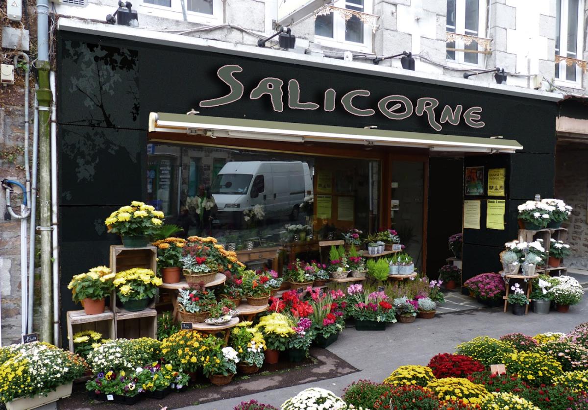 Salicorne