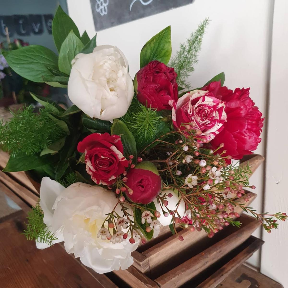 Une Colombe sous la Lune et Le Boudoir Salon de thé