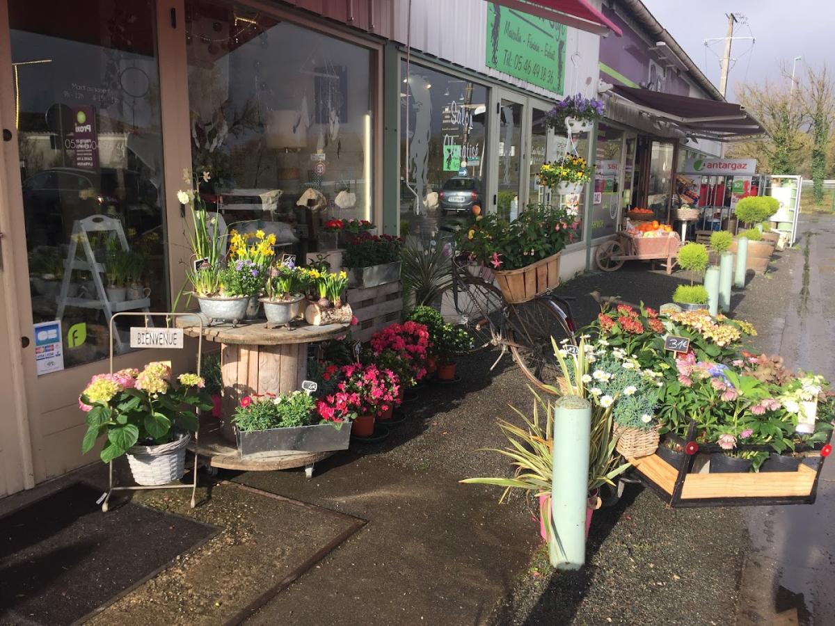 AUX COULEURS PETALES