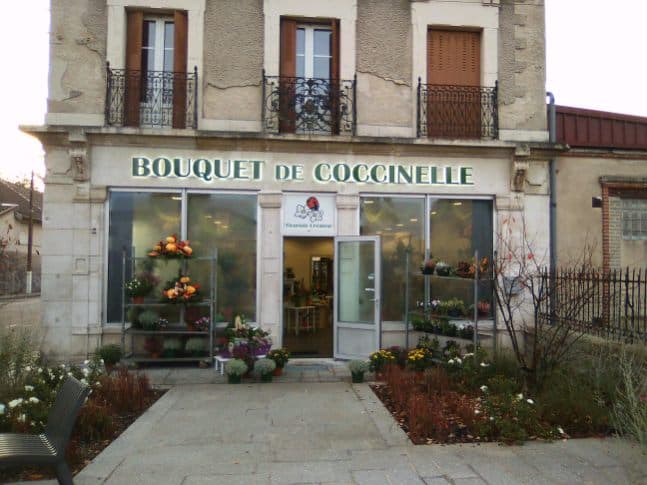 Bouquet de Coccinelle