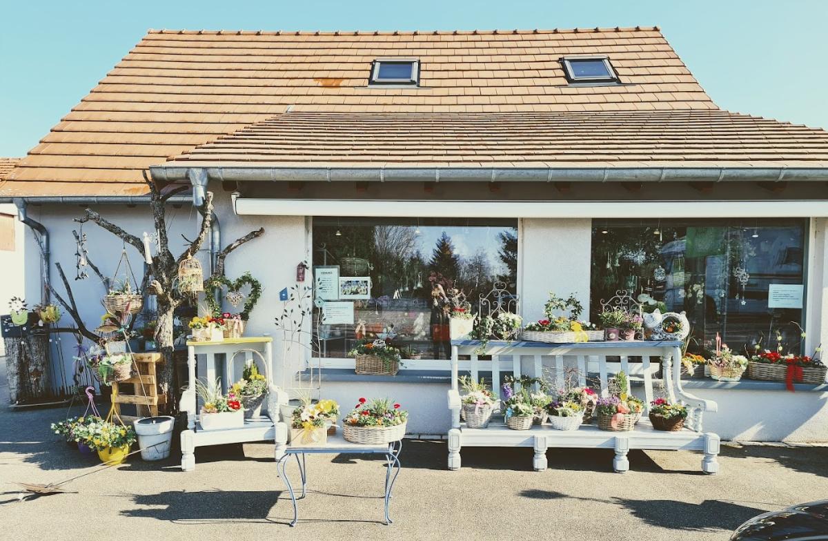 A la Recherche d'une Fleur