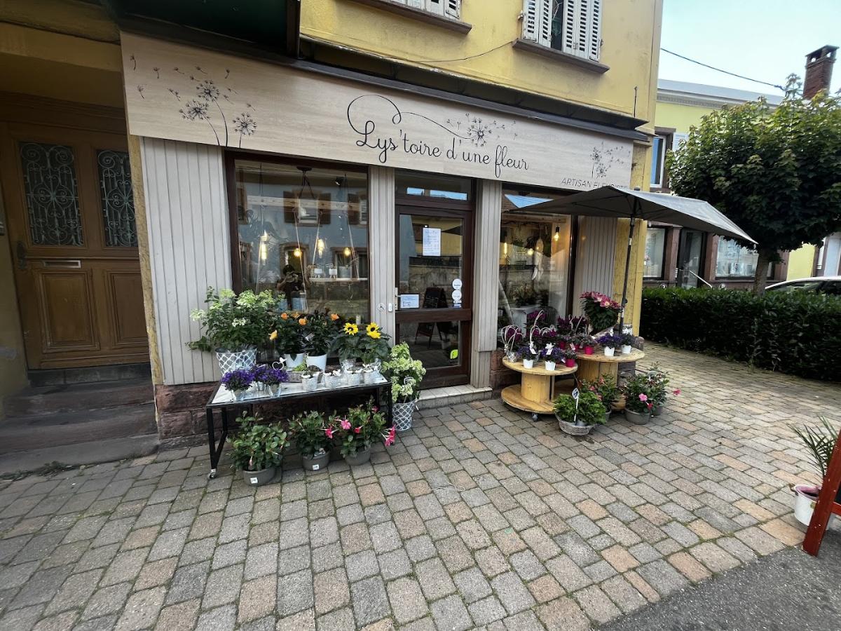 Lys’toire D’une fleur