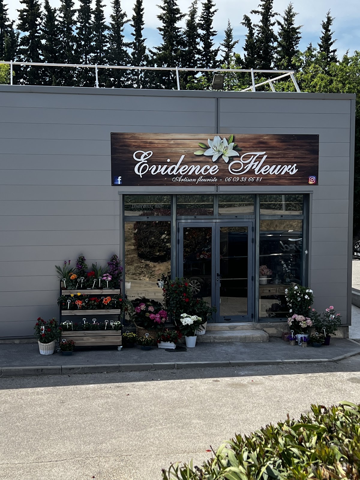 Evidence Fleurs Fleuriste Pertuis