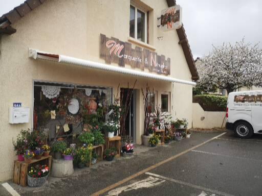 Marguerite et Nénuphar