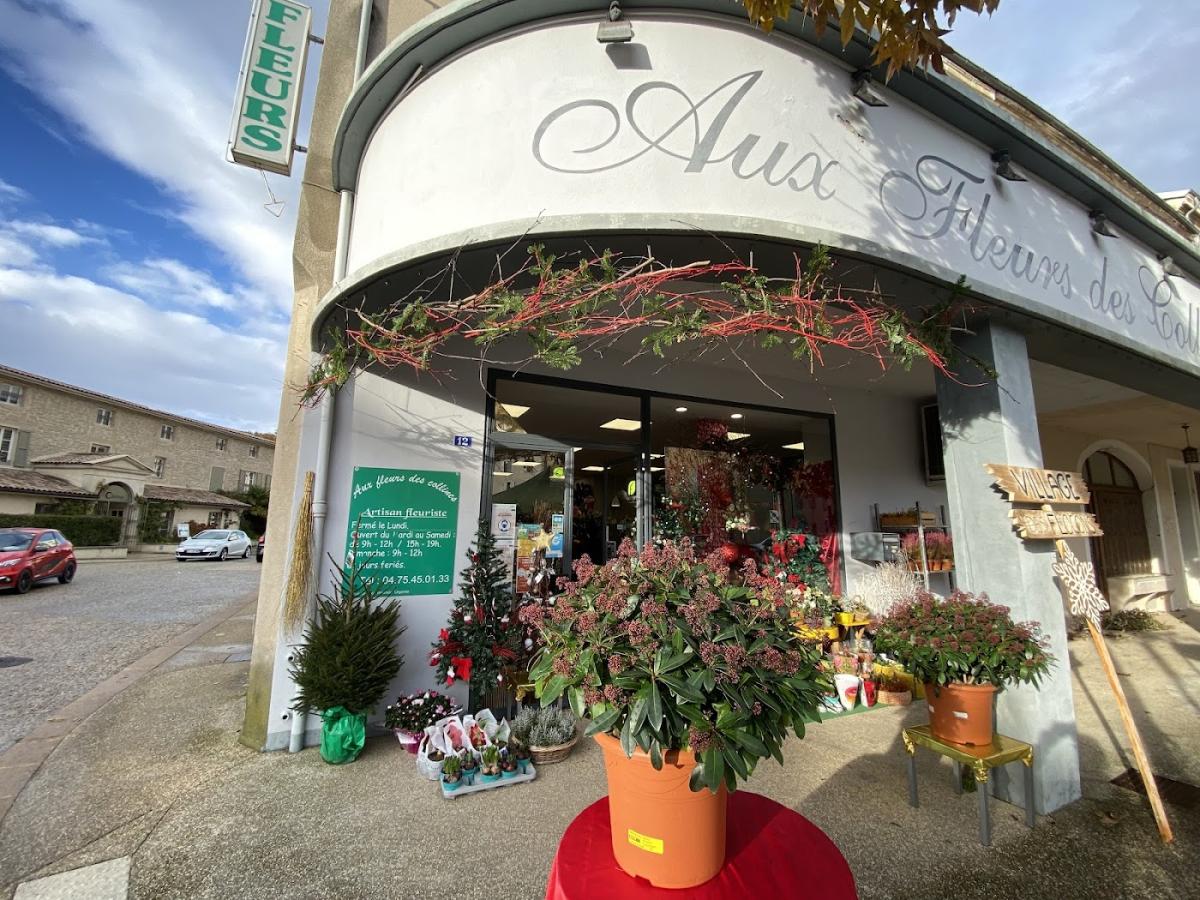 Aux Fleurs des Collines