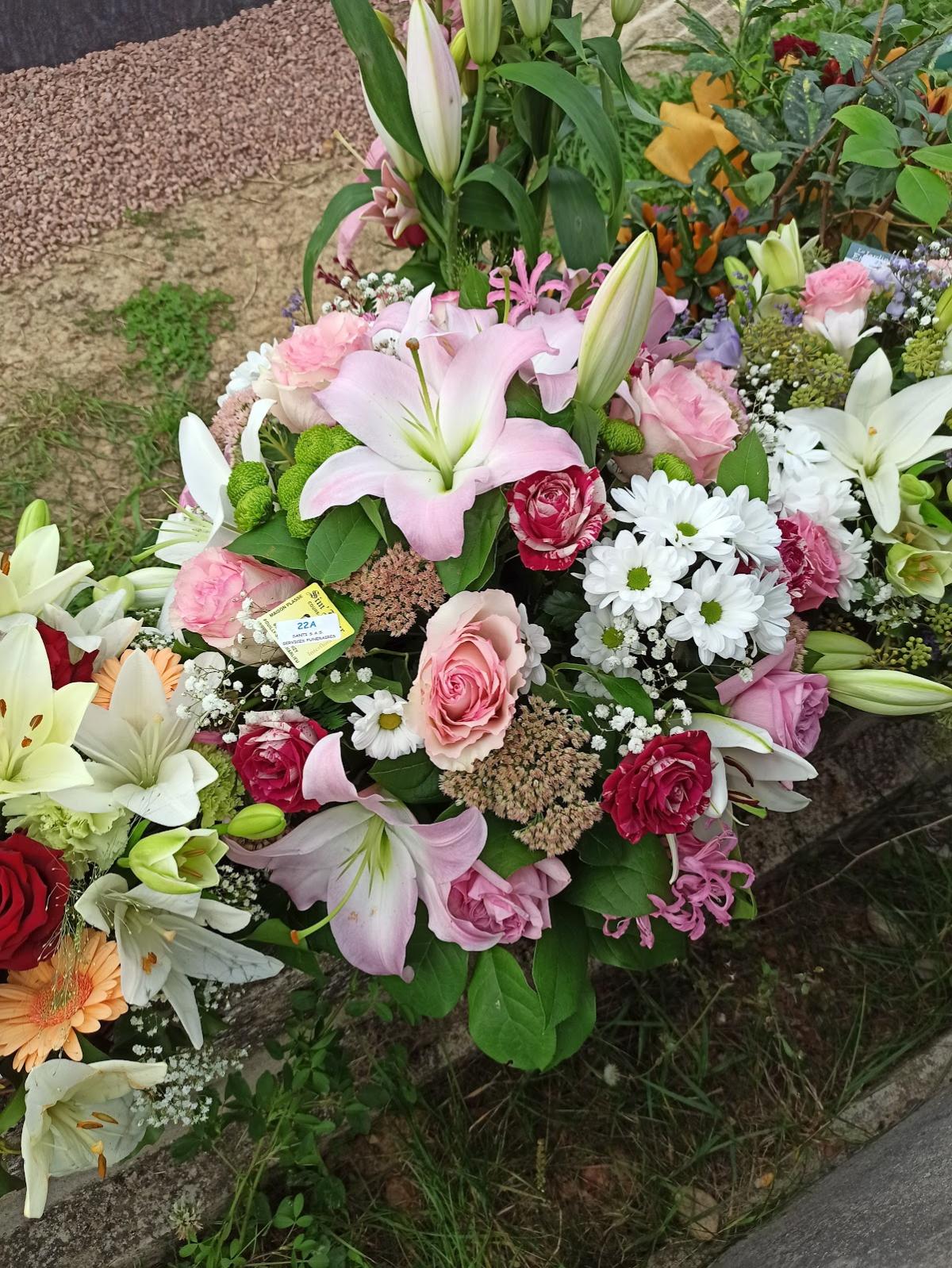 Maison PLASSE Sim Fleur