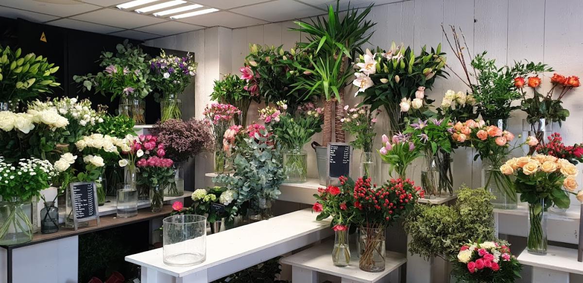 Fleuriste à Orsay - Sauvaje