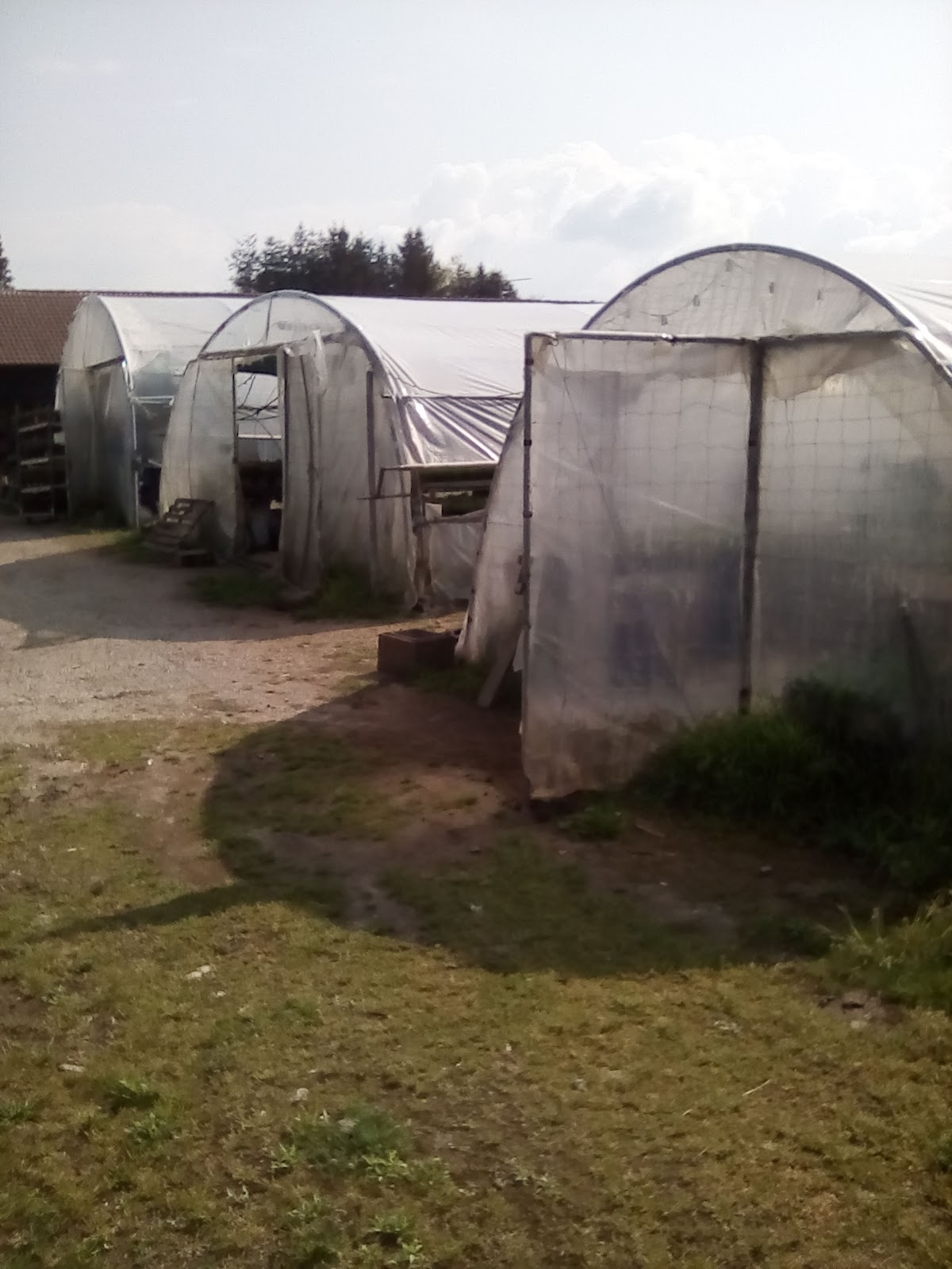 Horticulture Au Champ Fleuri