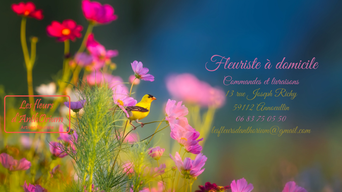 Les fleurs d'anthorium