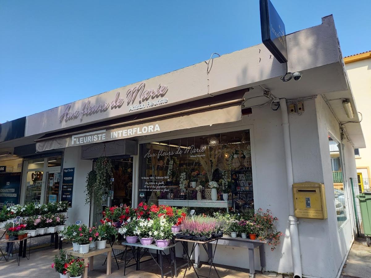 Aux Fleurs de Marie - Terre de Provence, Artisan Fleuriste