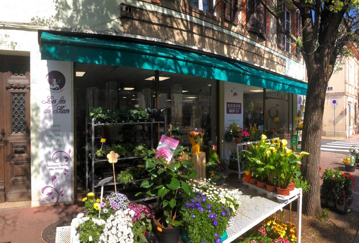 Les Fées Des Fleurs