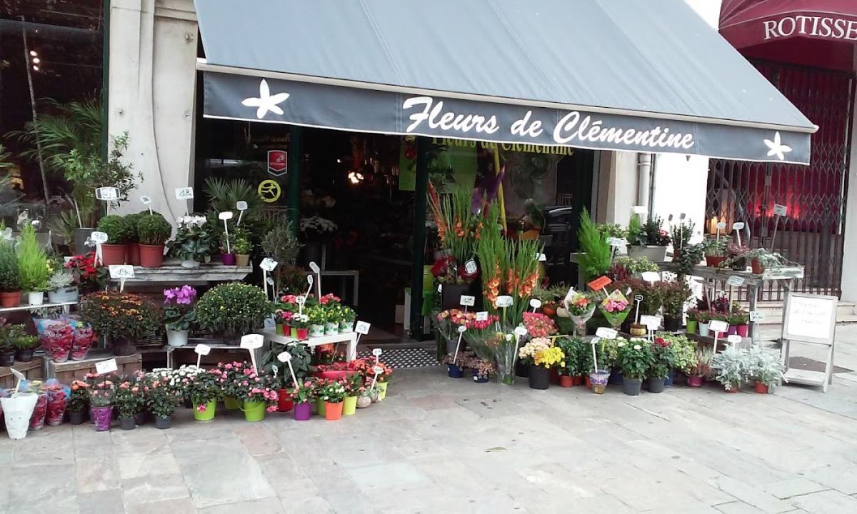Fleurs de Clémentine
