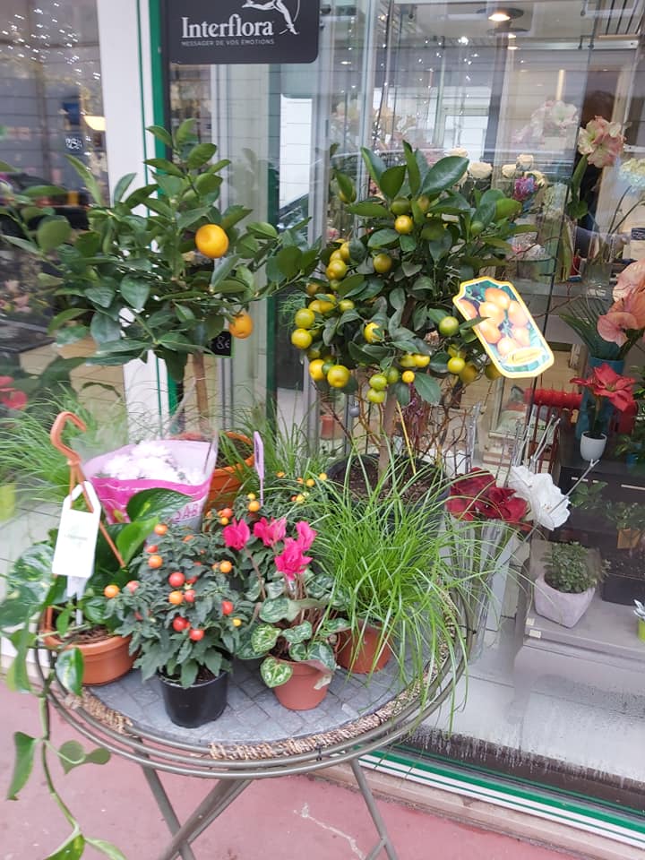 Romy Fleurs, Artisan Fleuriste