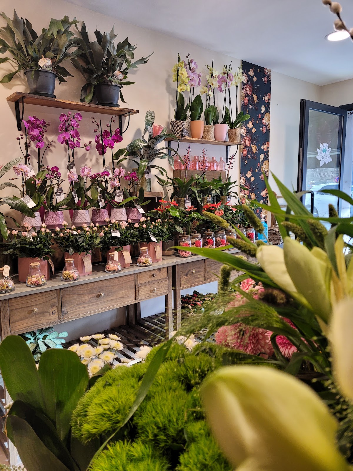 Artisan Fleuriste Nymphéa (Sainte Anne D'Auray)