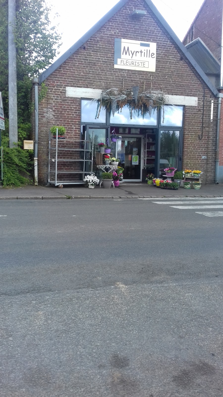 Myrtille