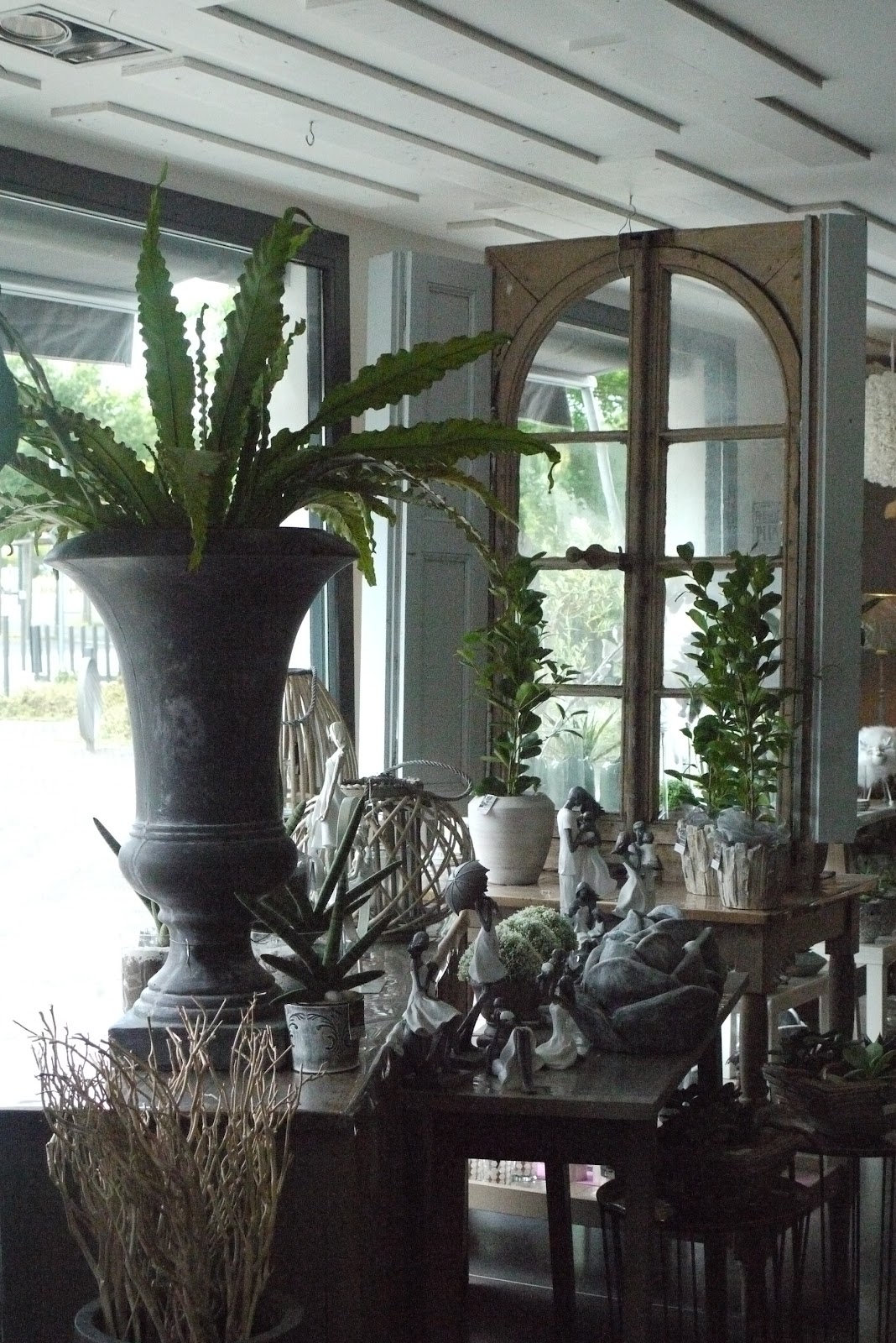 Glycine, Artisan Fleuriste