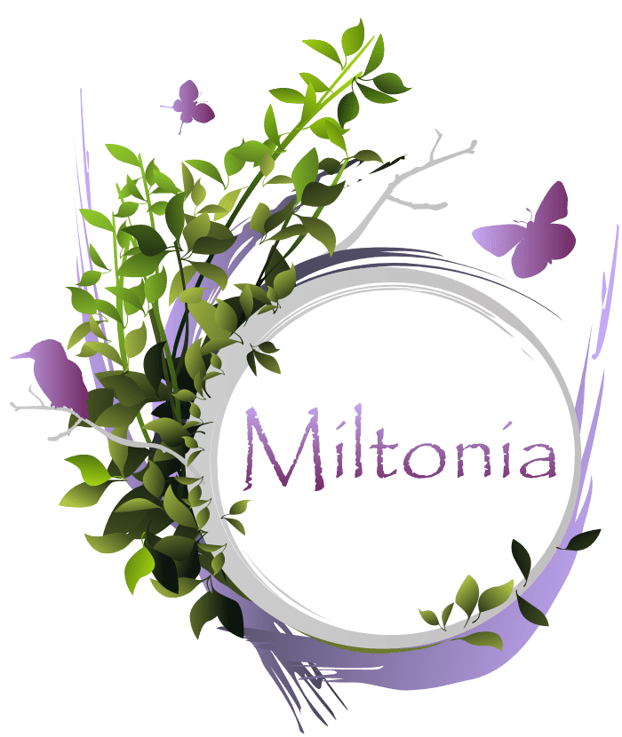 Miltonia