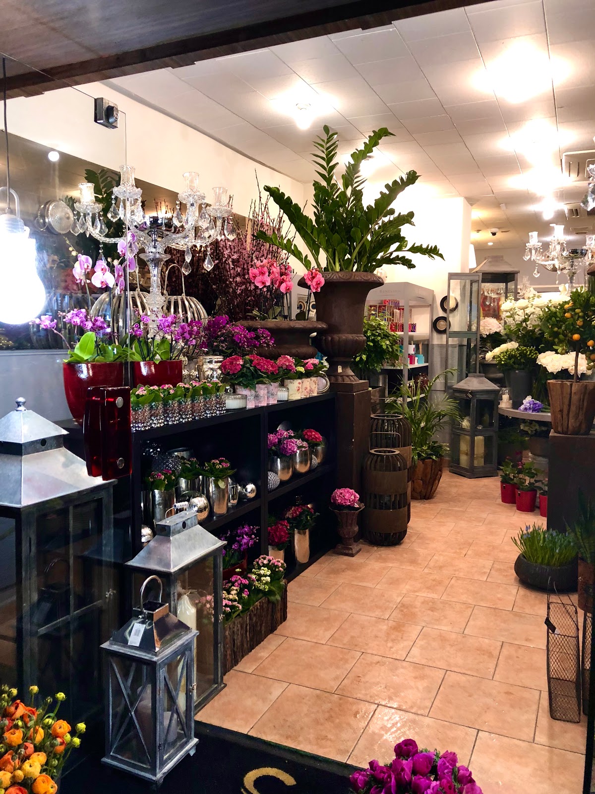 Samiha Sellier Maître Fleuriste