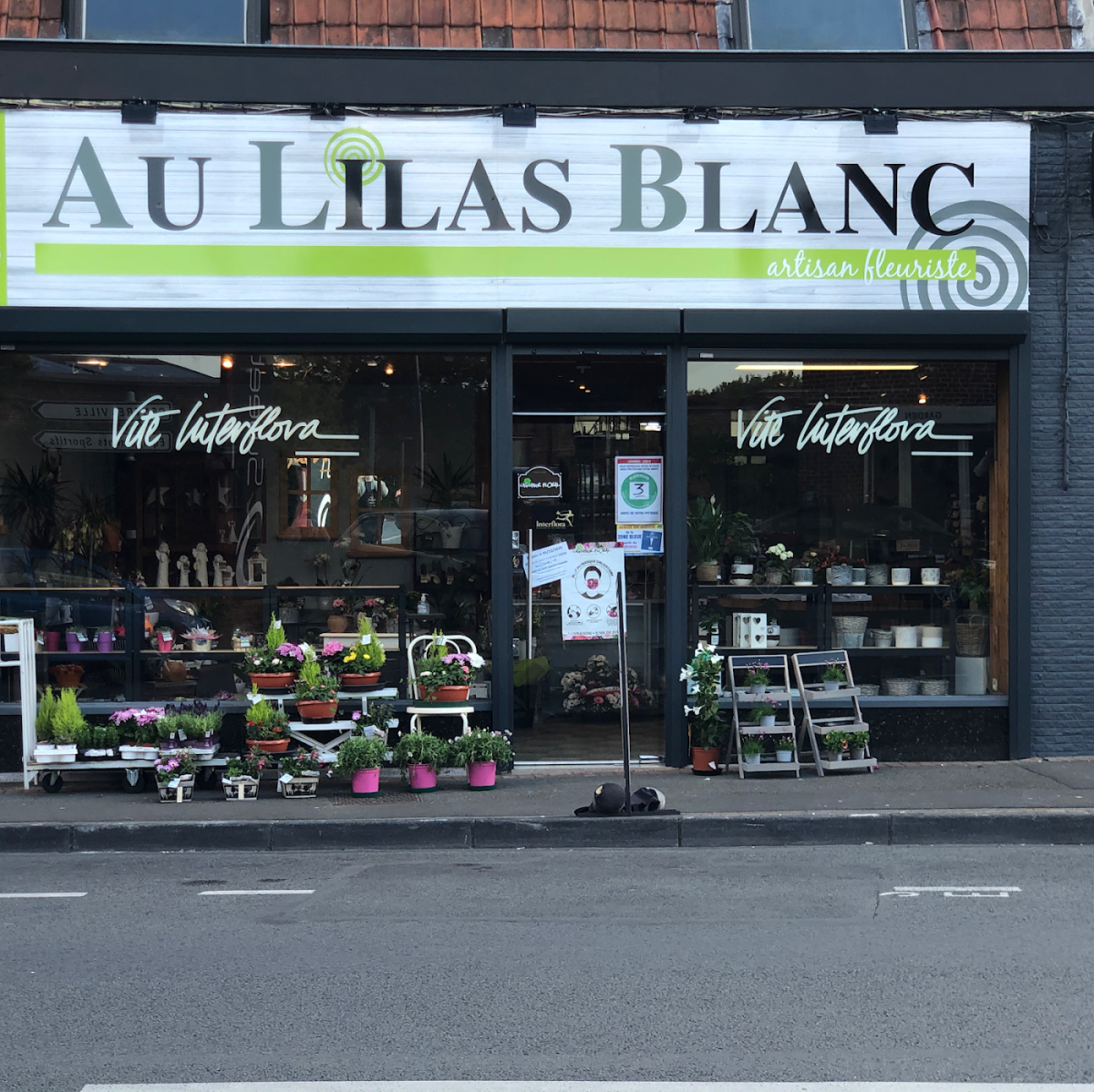 au lilas blanc