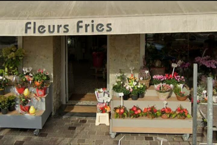 Fleurs Fries