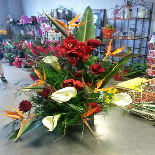 Aux Albères Fleuries