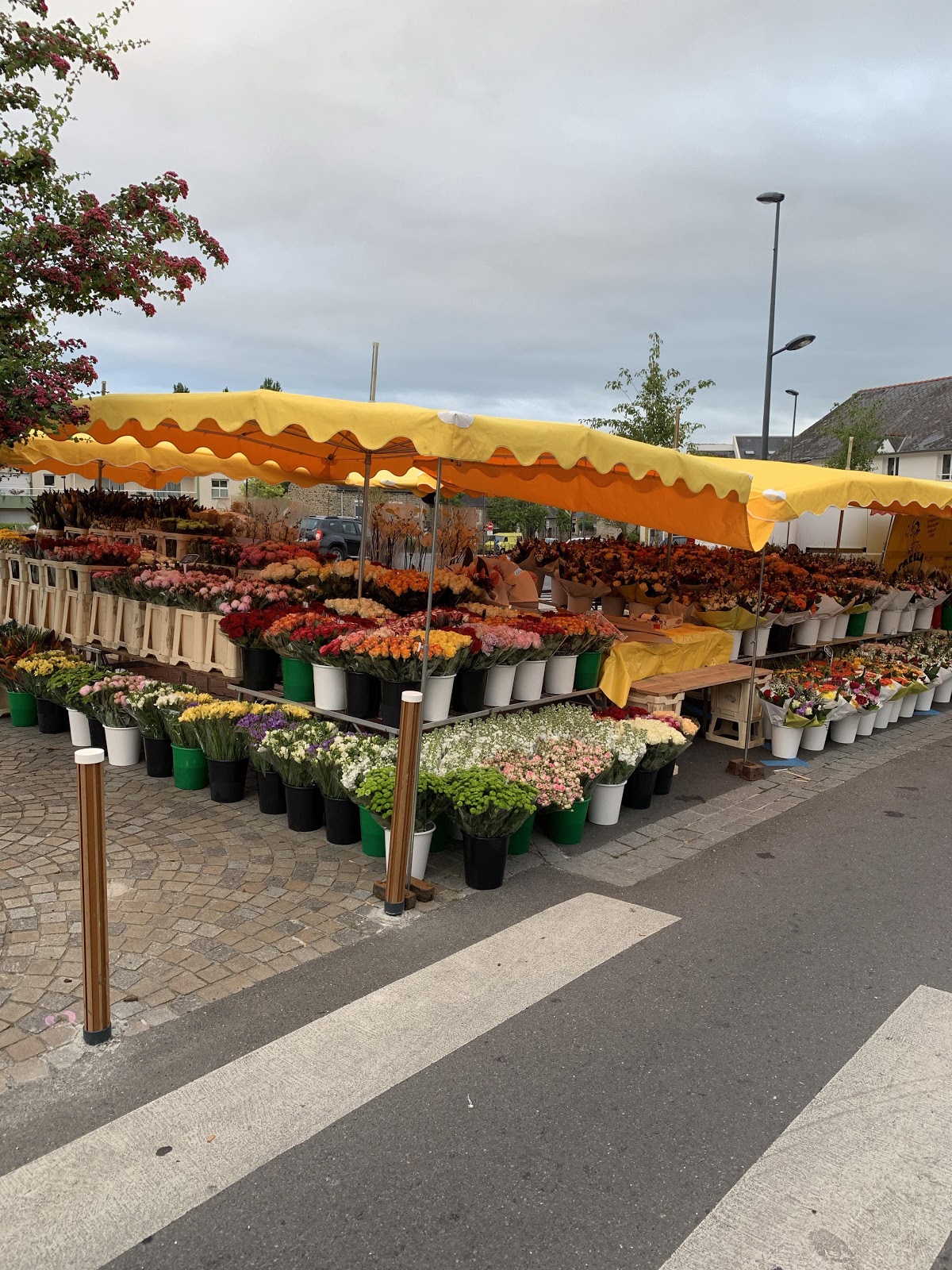 Kooy Fleurs